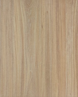 Lakefront Elm