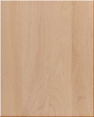 Beech
