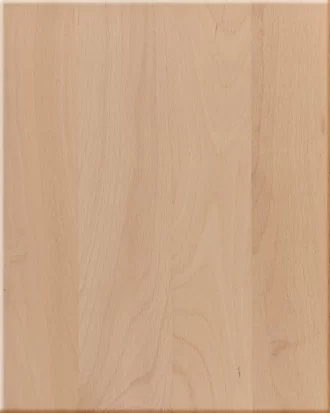 Beech